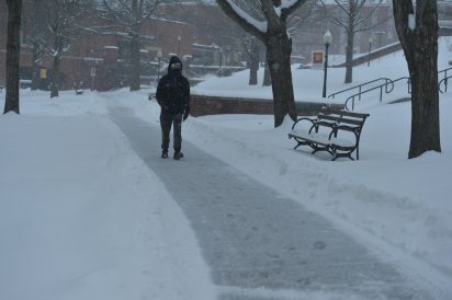 article image - snow1